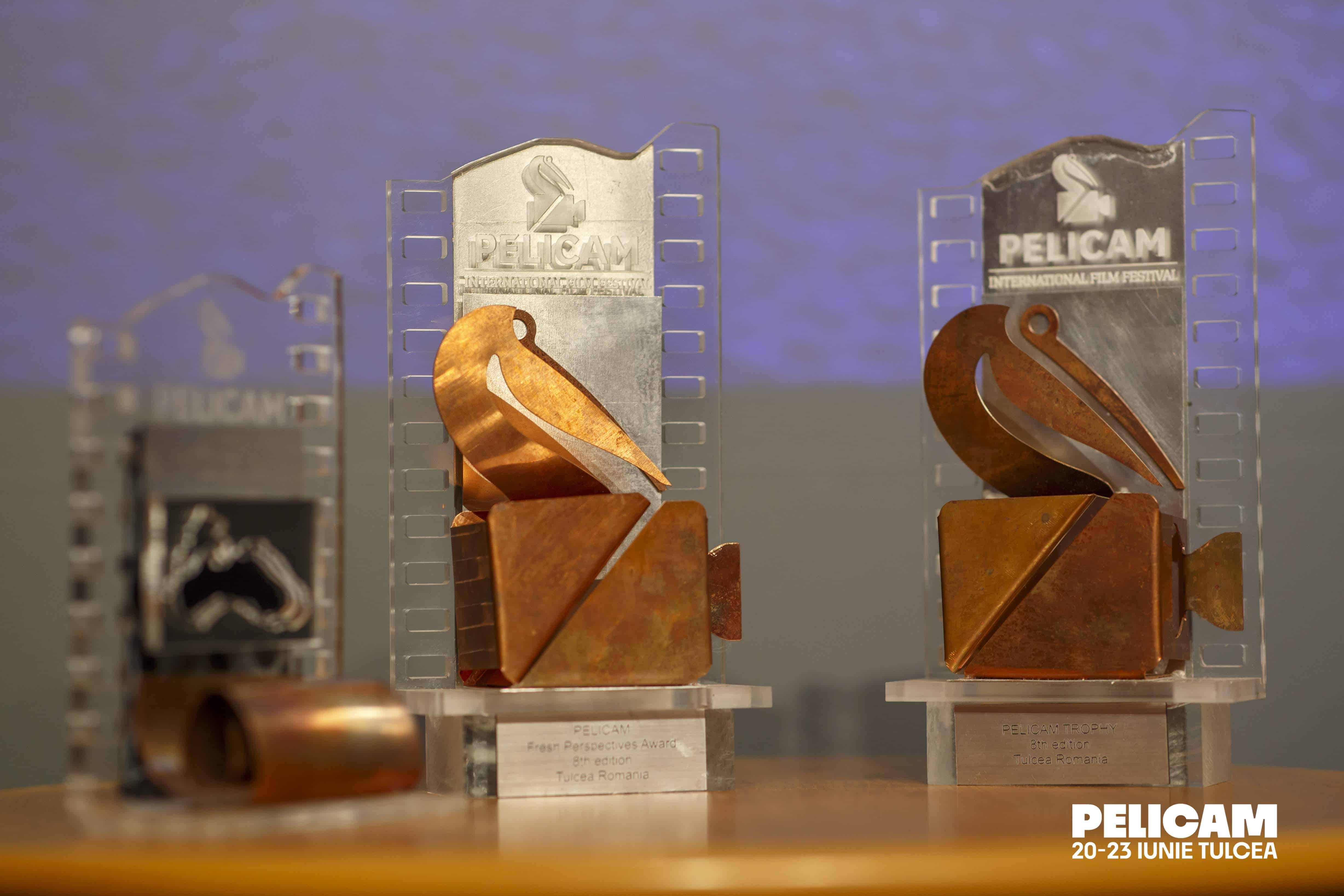 Premiile Pelicam 2019