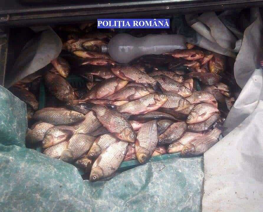 41e95430 8f68 481c B56a 1c3bf94b9262