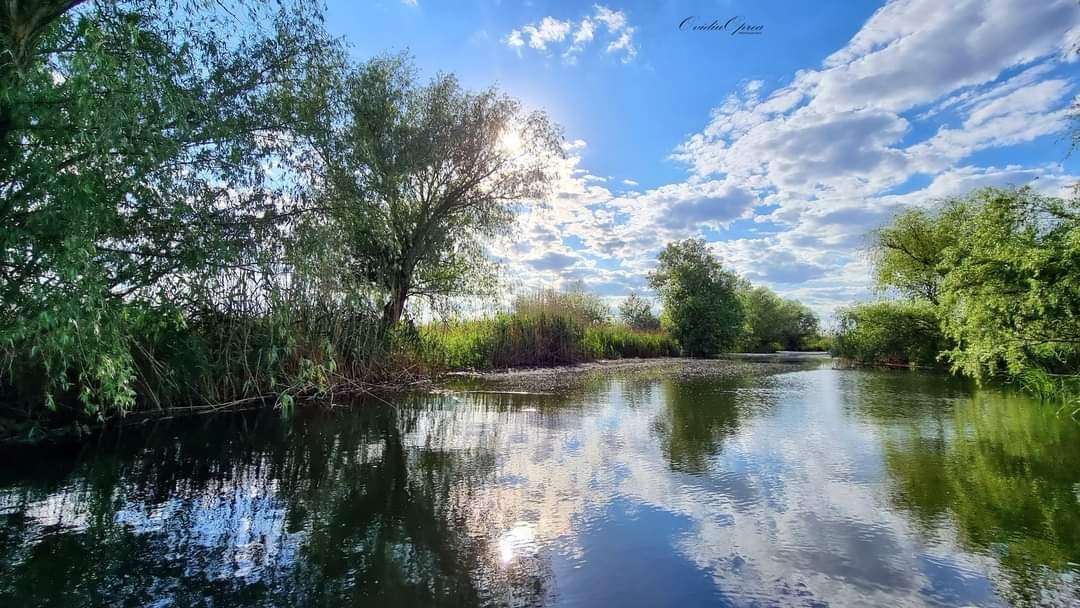 delta dunarii 1 foto ovidiu oprea.jpeg