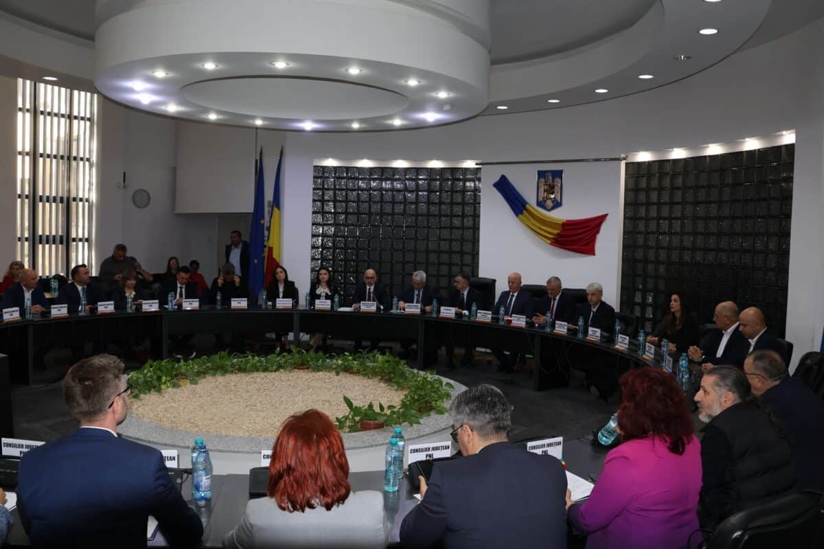 Consiliul județean ședinte