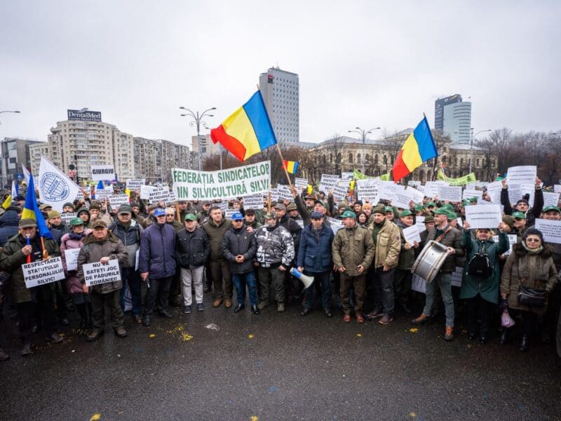 Silvicultorii protestează în Piaţa Victoriei împotriva tăierii salariilor și drepturilor lor