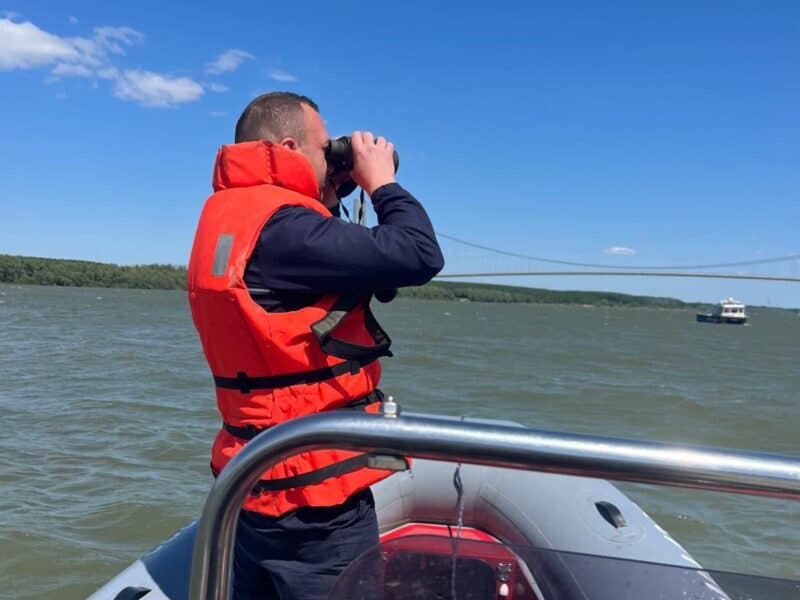 cautare pers disparuta