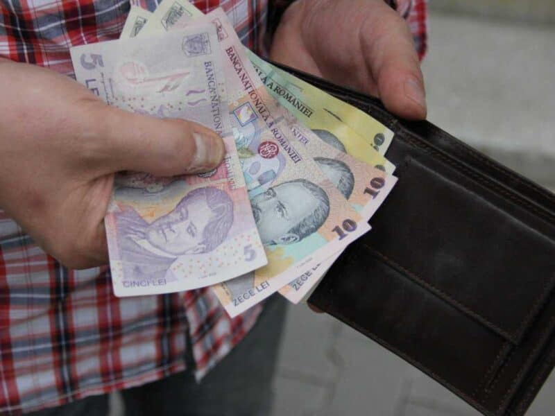 Euro ajunge la 5,0991 lei în creștere față de zilele anterioare la BNR