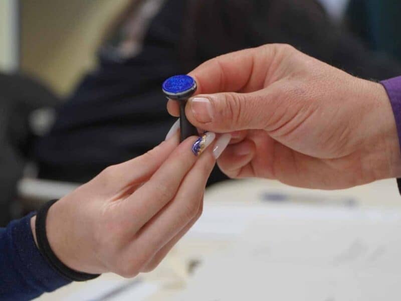 Peste 500.000 de români au votat la alegerile prezidențiale din 2025 până sâmbătă la 17:00