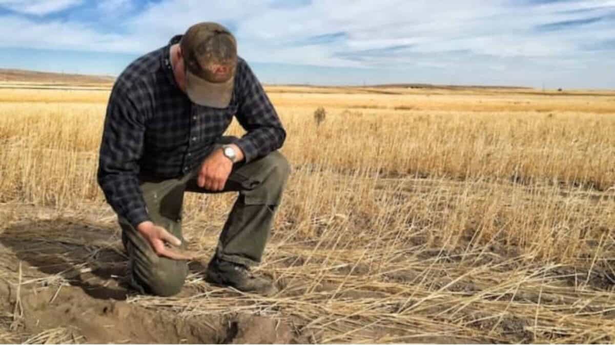 Temperaturi scăzute în nord și precipitații reduse în sud în următoarele săptămâni