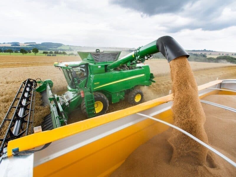 România ar putea atinge o recoltă record de grâu în sezonul 2025-2026 după 28 de ani