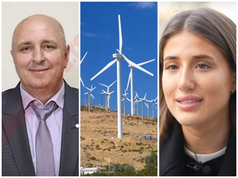 colaj daeni milena ilie