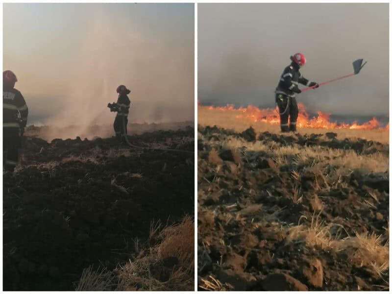 colaj incendiu tulcea