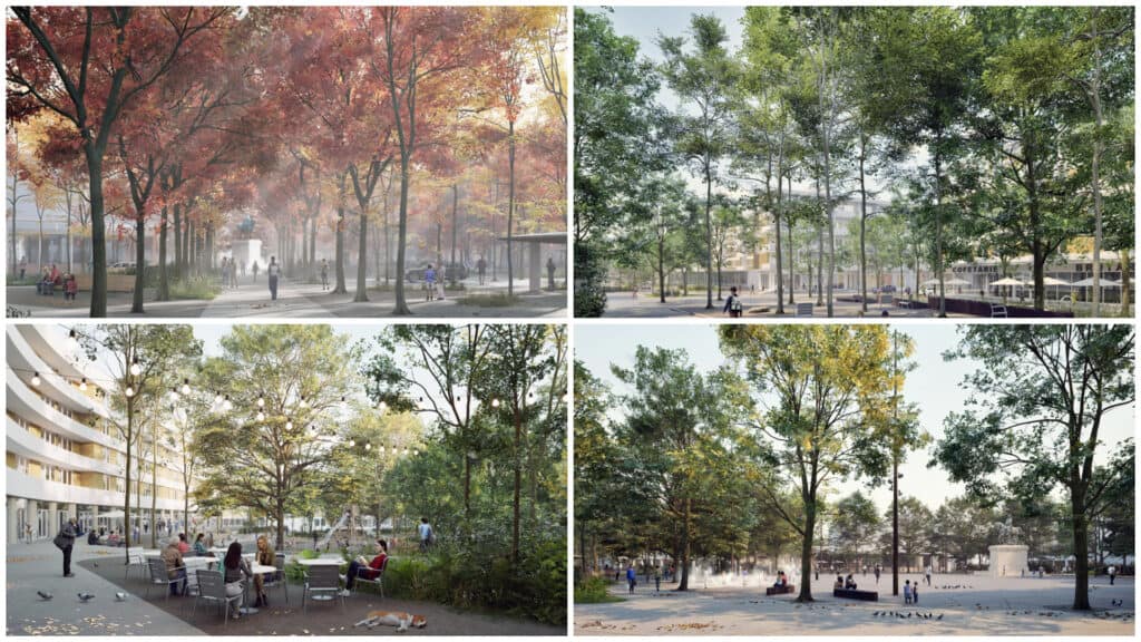 colaj piata civica 1