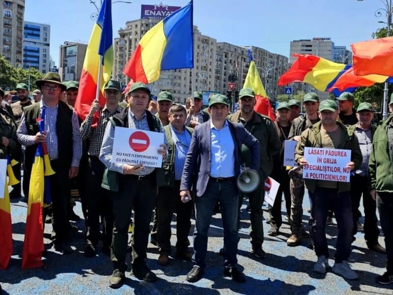 Federația SILVA anunță miting de protest pentru salvarea patrimoniului forestier național