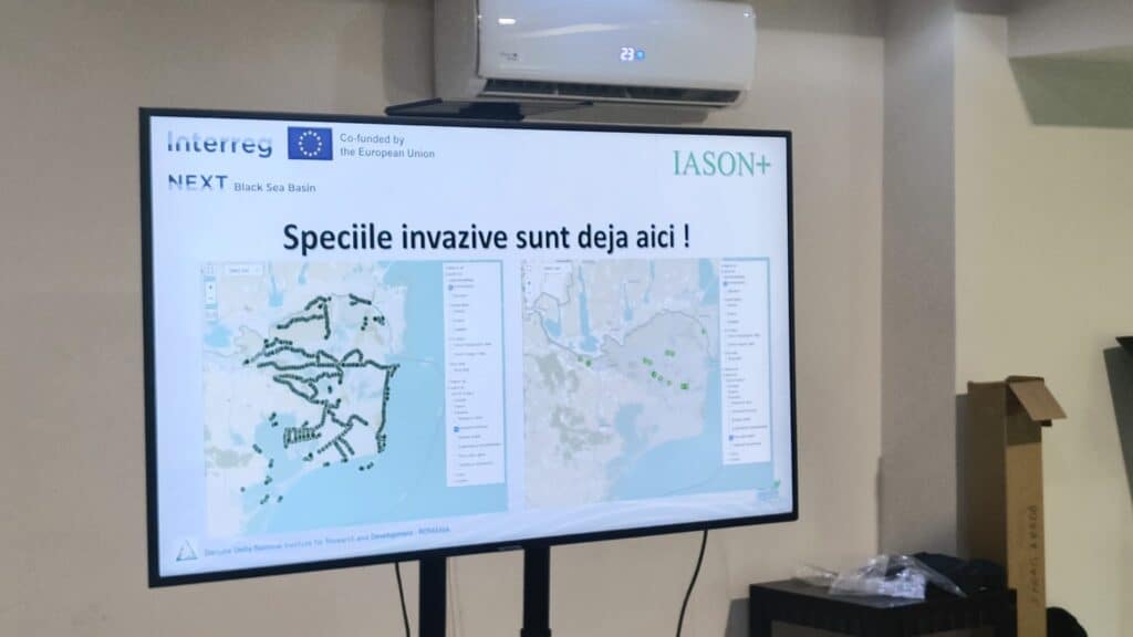 incdd specii invazive 2