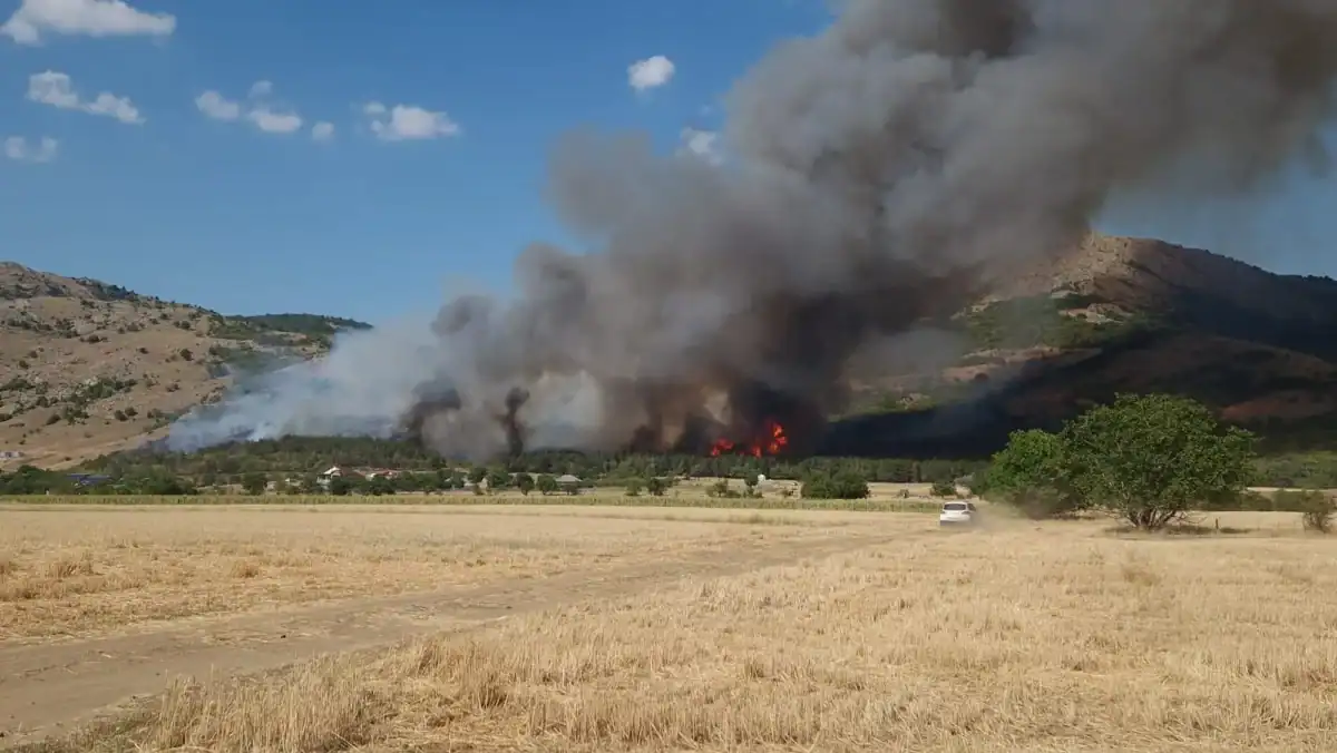 incendiu greci bun