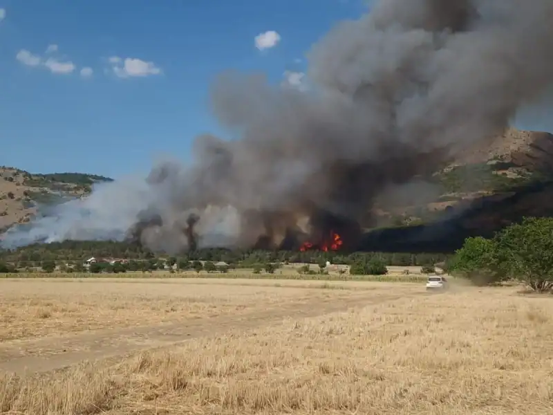 incendiu greci bun