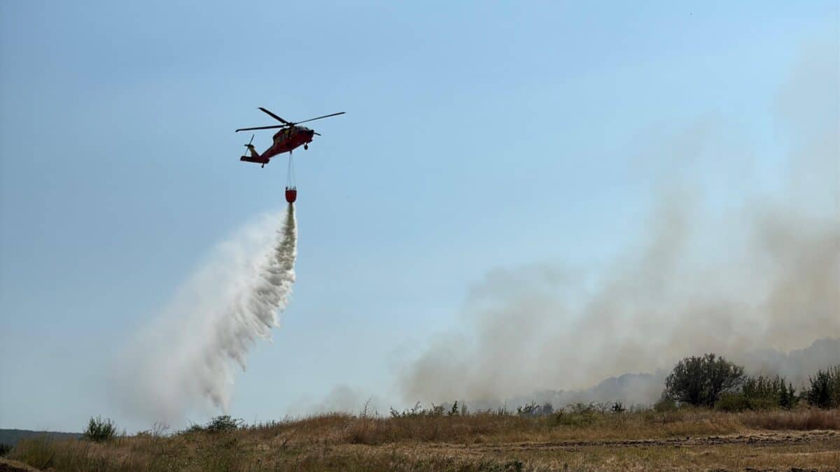 incendiu niculitel 1