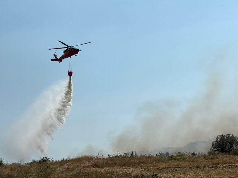 incendiu niculitel 1