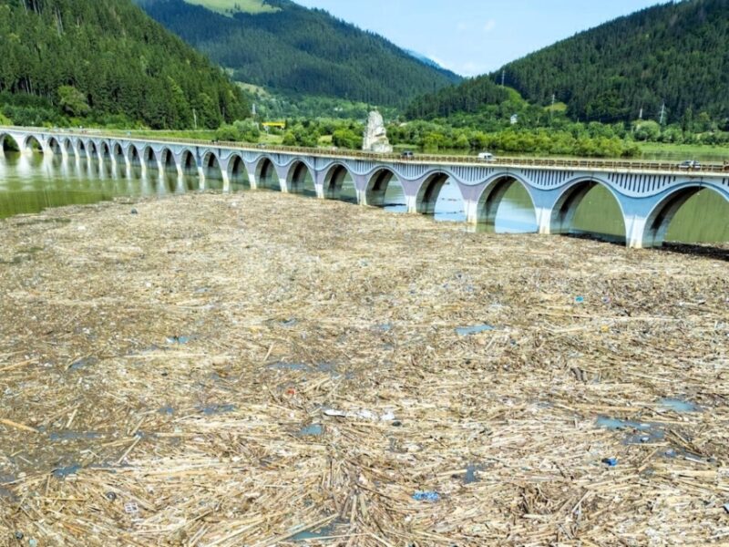 Situație fără precedent la Barajul Bicaz din Neamț din cauza viiturilor de resturi lemnoase