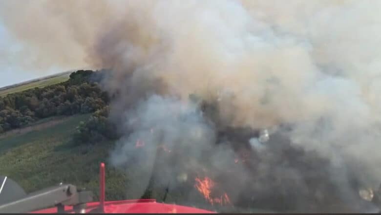 Captura de ecran 2025 08 07 191929