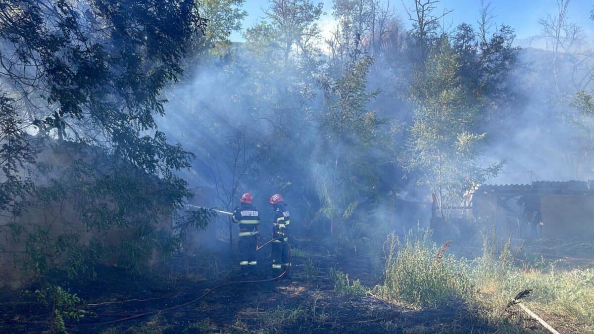Incendiu mahmudia00004