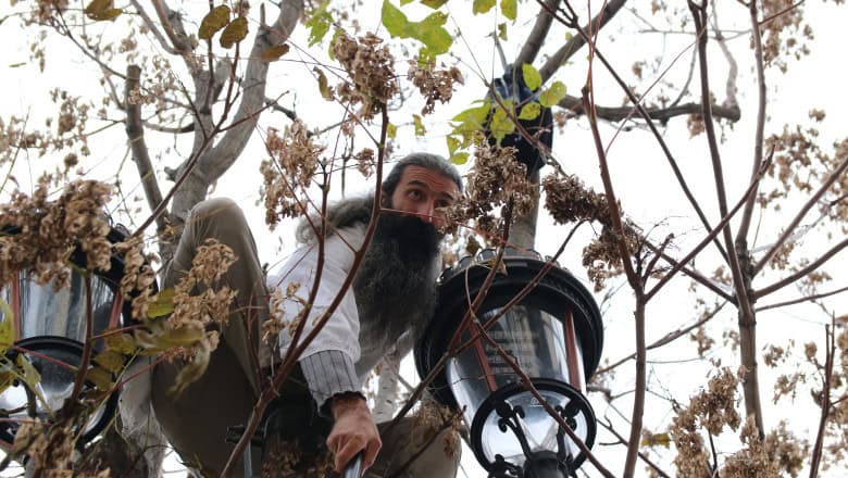 Cezar Avrămuță a escaladat un copac la Penitenciarul București-Rahova după o ieșire la cumpărături