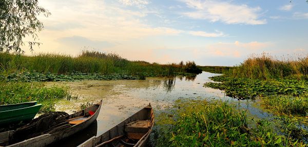 delta dunarii rador.ro apa mica