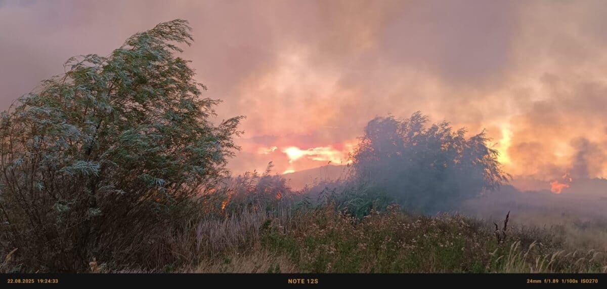 incendiu bun murighiol