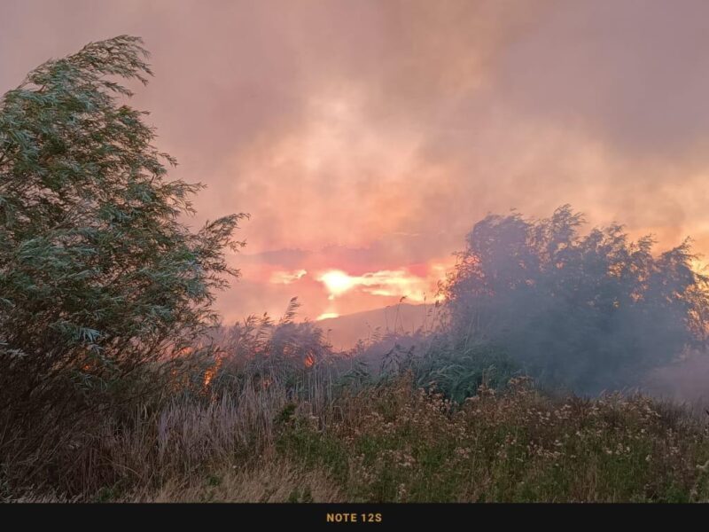 incendiu bun murighiol