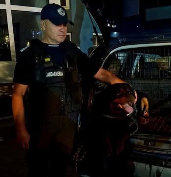 jandarm bilant sf maria