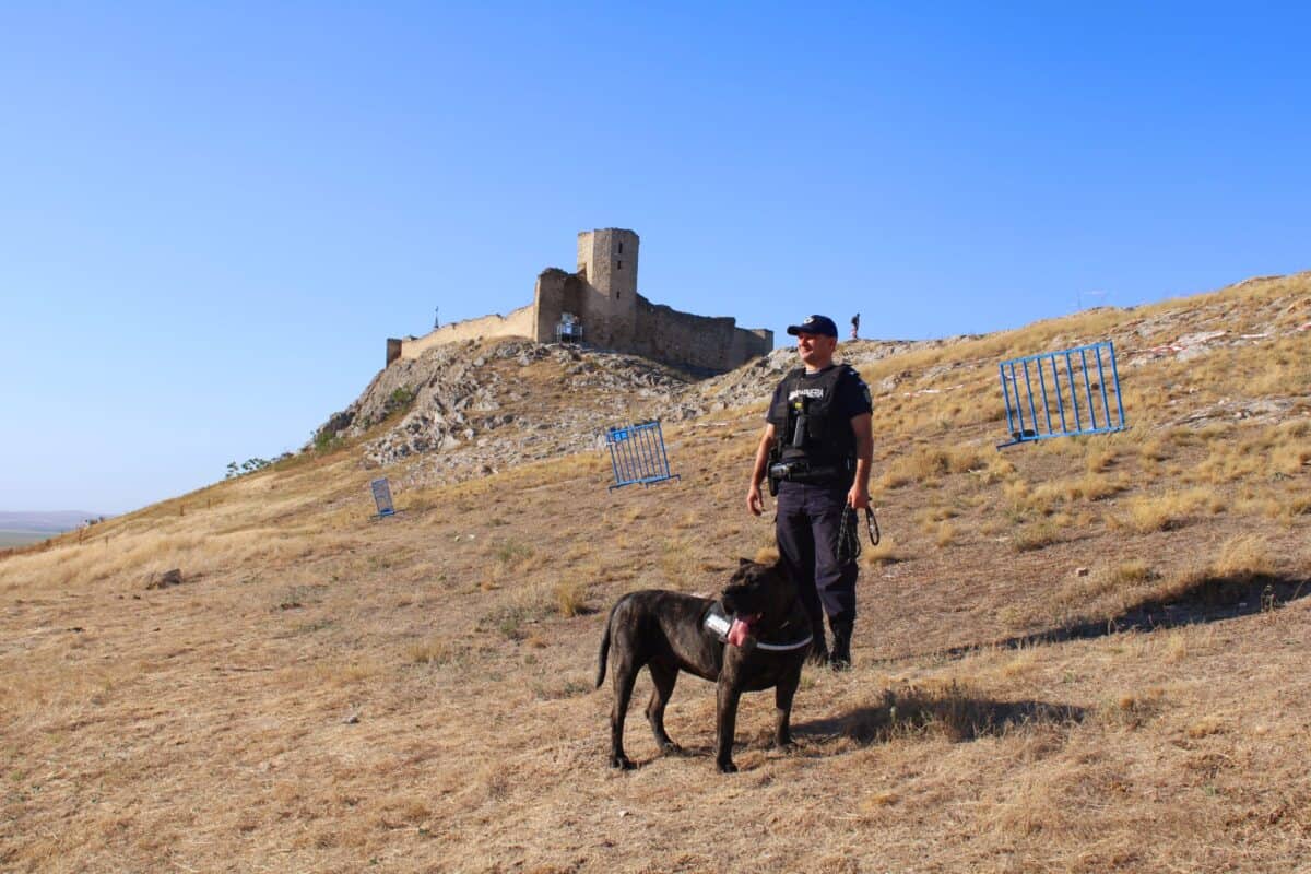 jandarmi bilant foto