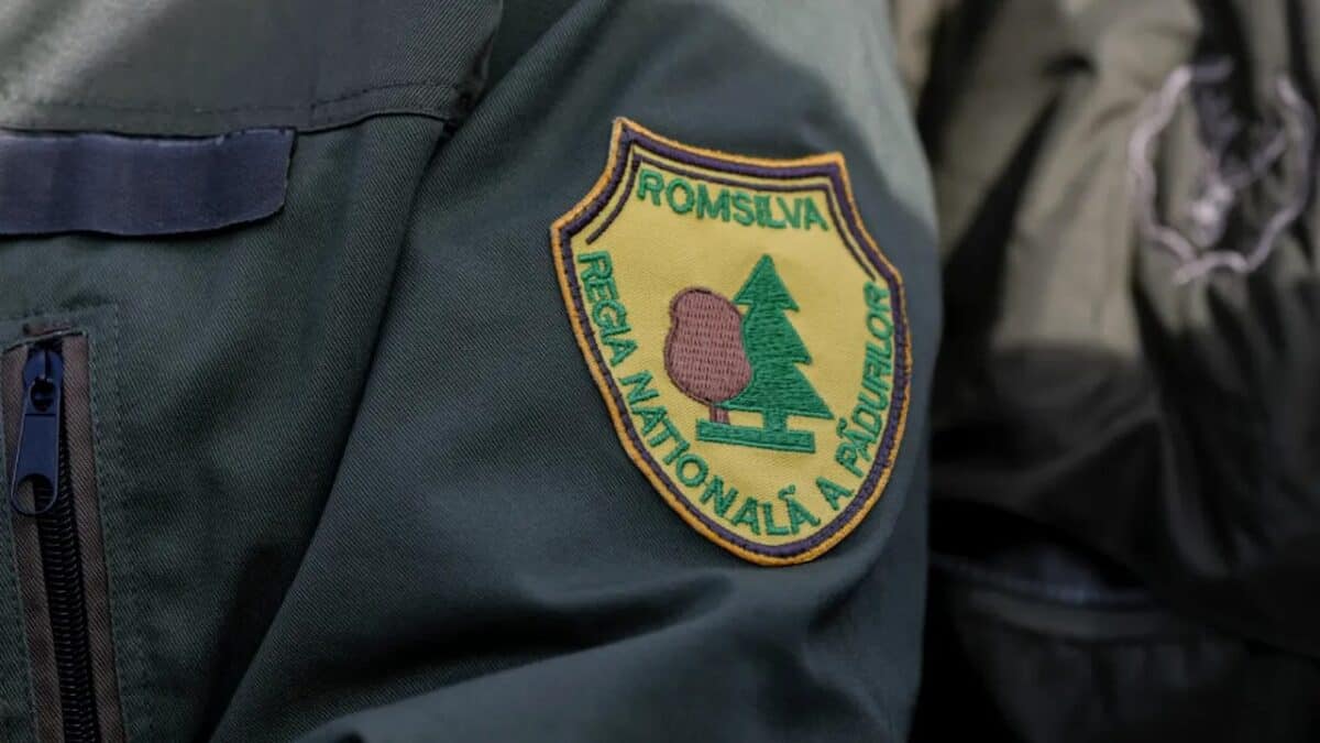 Ministerul Mediului organizează dezbatere publică pentru selecția directorului Romsilva