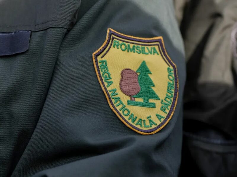 Ministerul Mediului organizează dezbatere publică pentru selecția directorului Romsilva