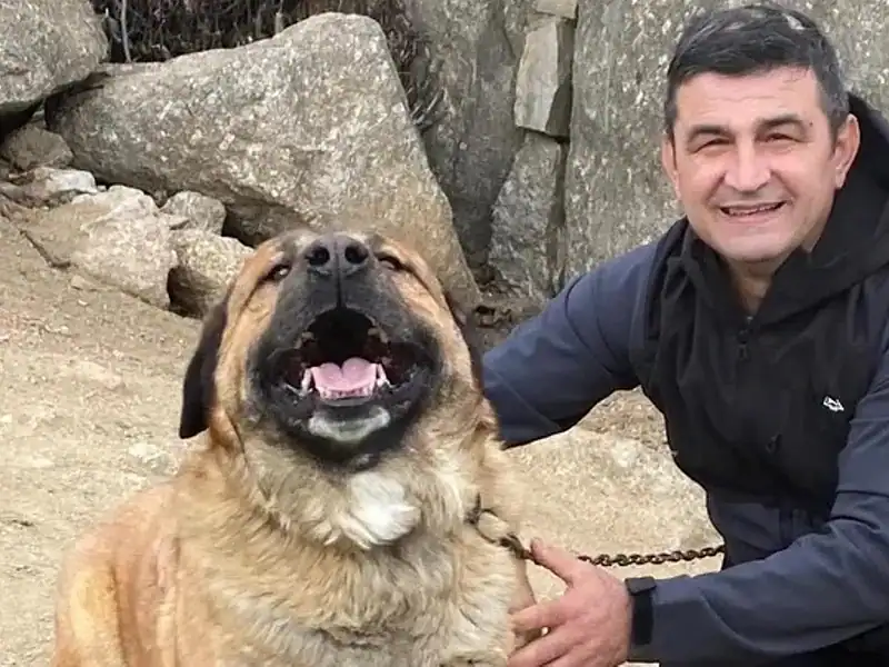 mircea spiridon el trabajador rumano fallecido en el incendio de tres cantos 16 9 aspect ratio defau da39