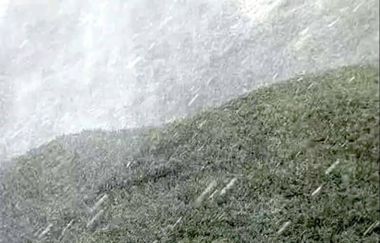 Ninsoare surprinzătoare în Munții Maramureșului în plină vară