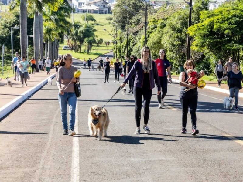 Valorile termice din septembrie depășesc normalul în întreaga țară