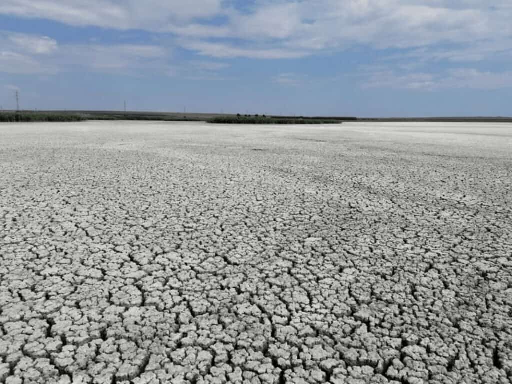 Sase lacuri din Delta Dunarii au secat complet e1664260414937