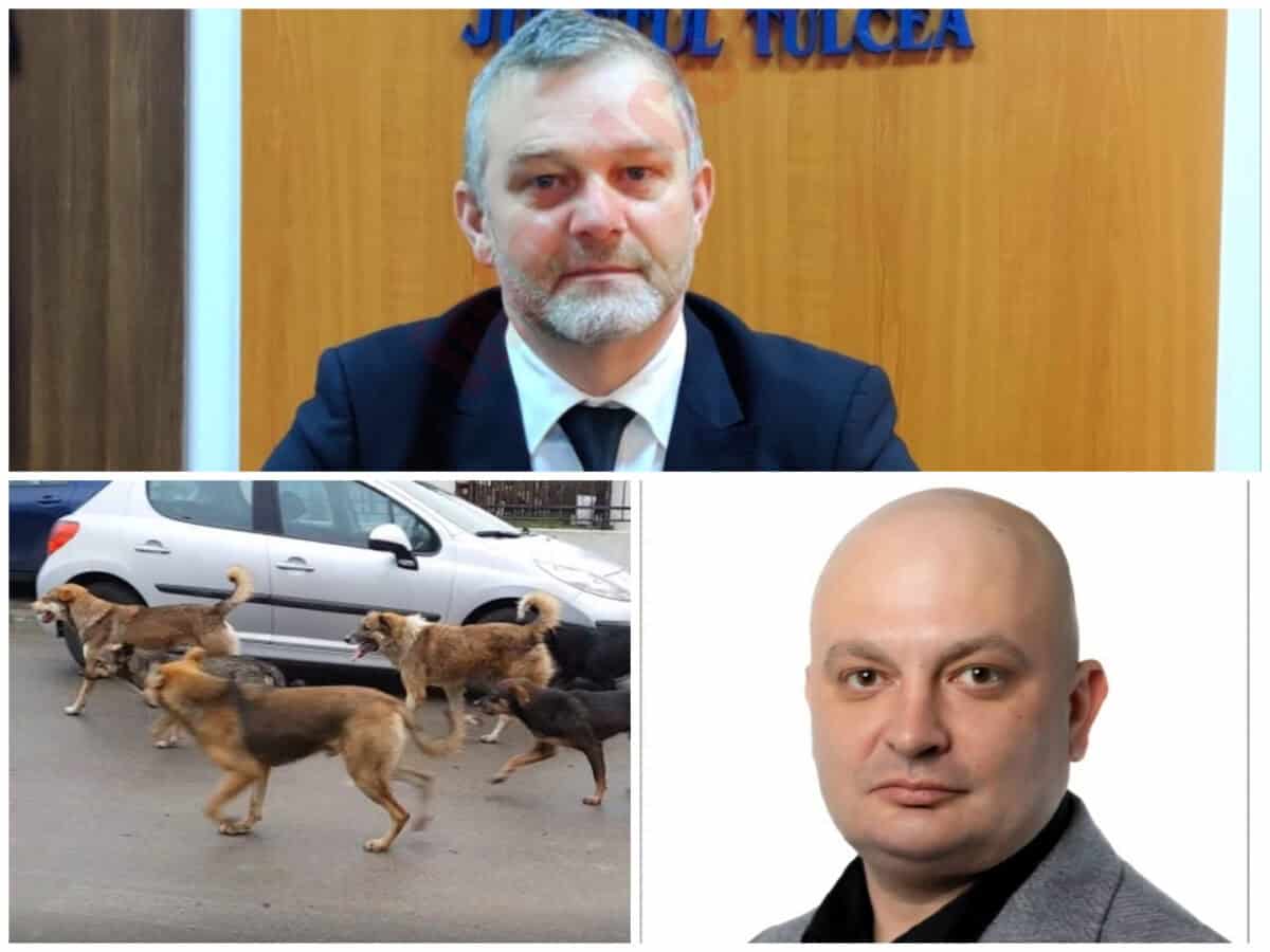 Tulcea Ora de Tulcea - Personal și peisaje regionale.