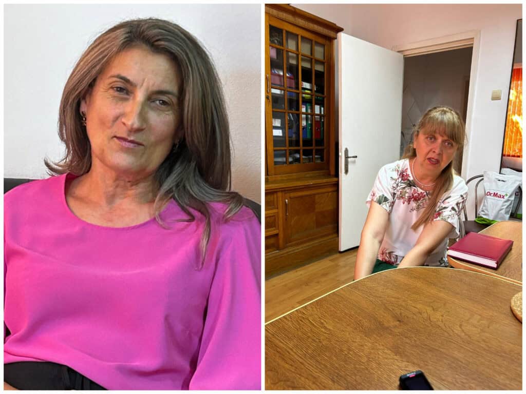 colaj psiholog profesor itinerant