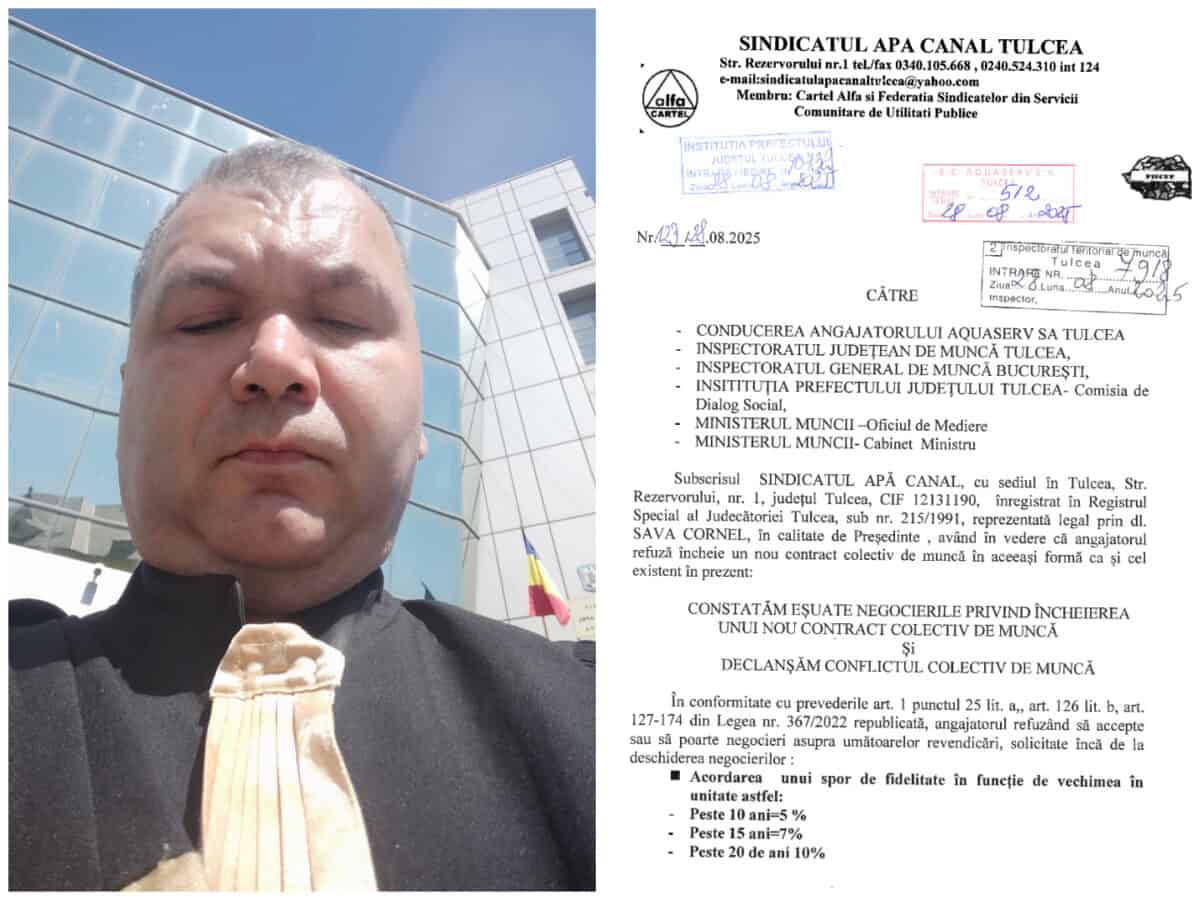 colaj stelea sindicat