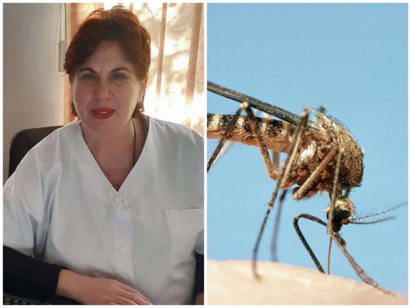 colaj west nile onofrei