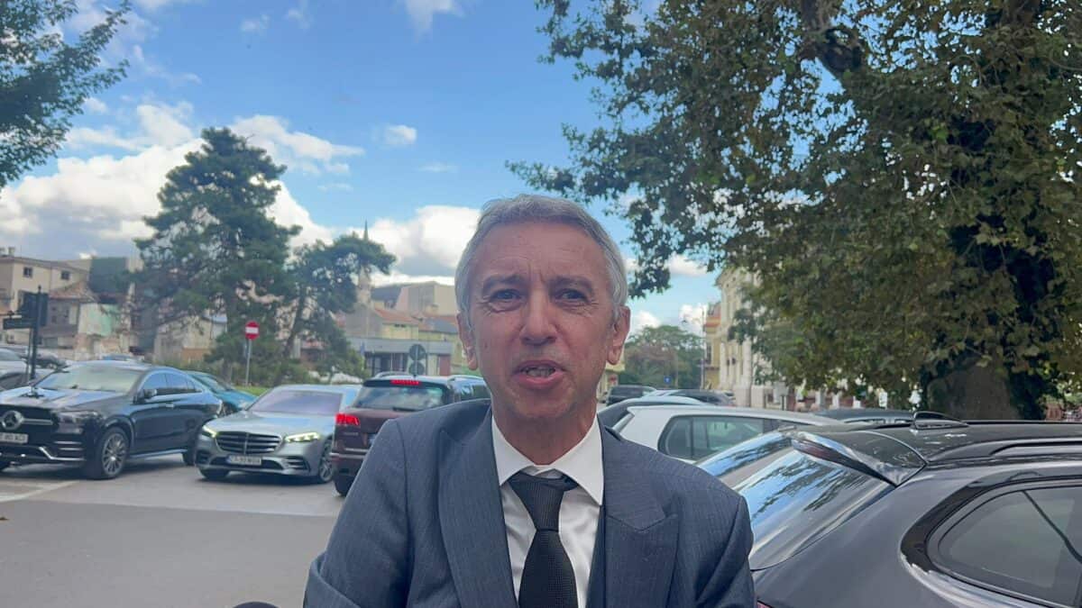 dan diaconescu cover