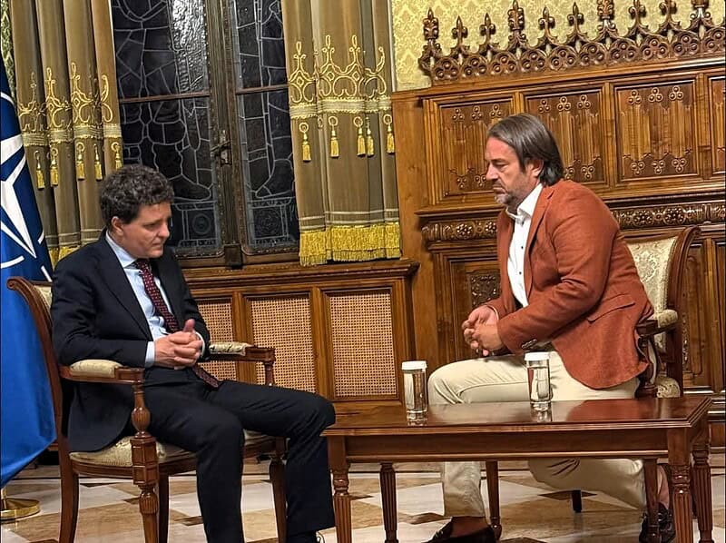 foto nicusor constantinescu