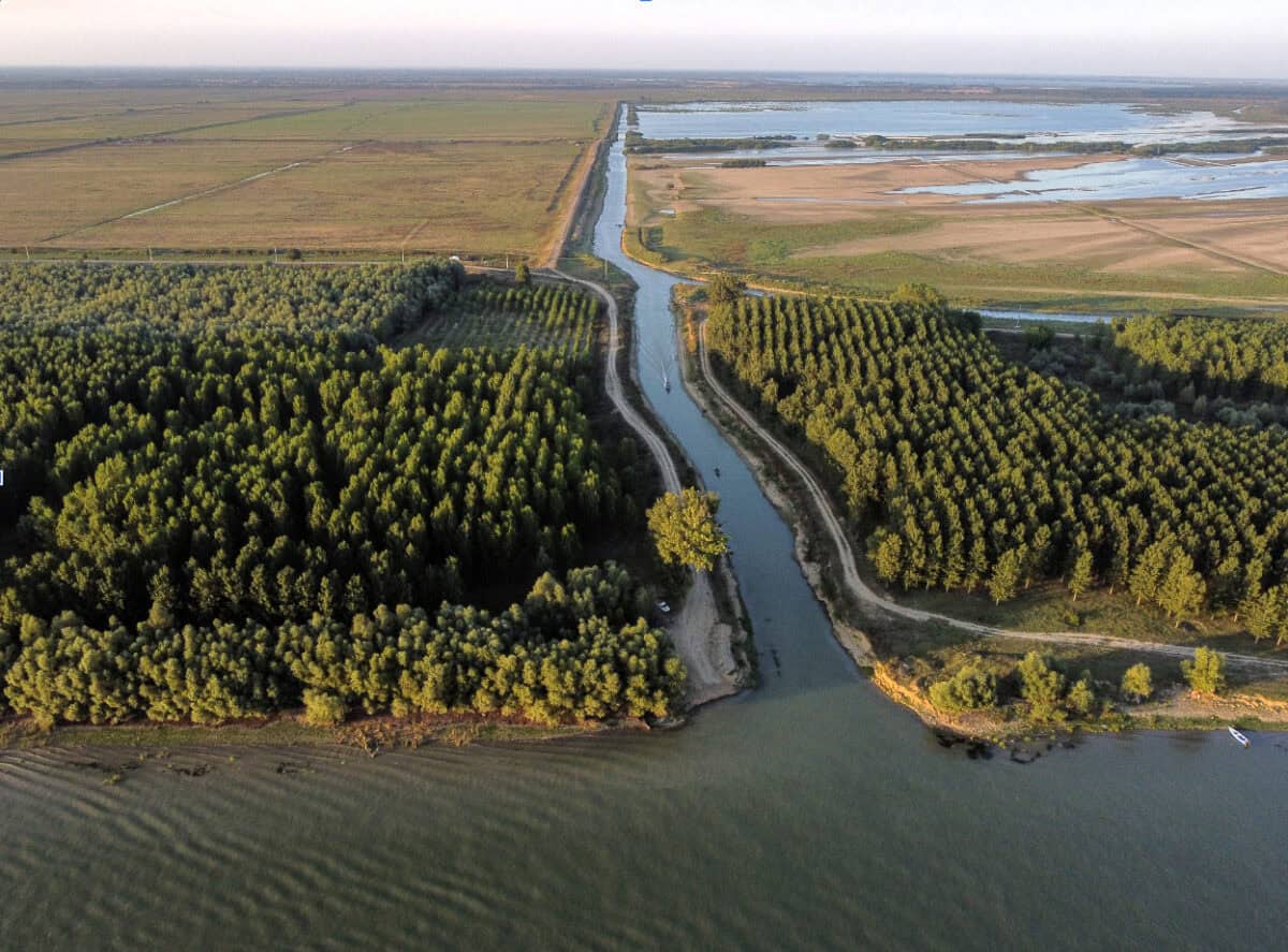 concesiuni terenuri dd