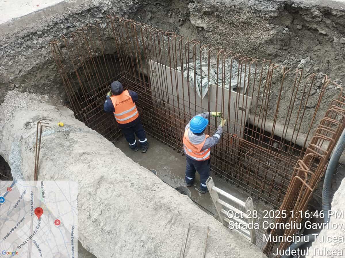 corneliu gavrilov groapa bun