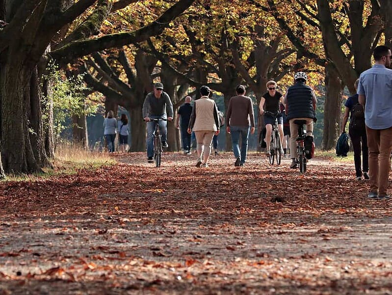 Estimările meteorologice ANM anunță o toamnă caldă cu precipitații normale