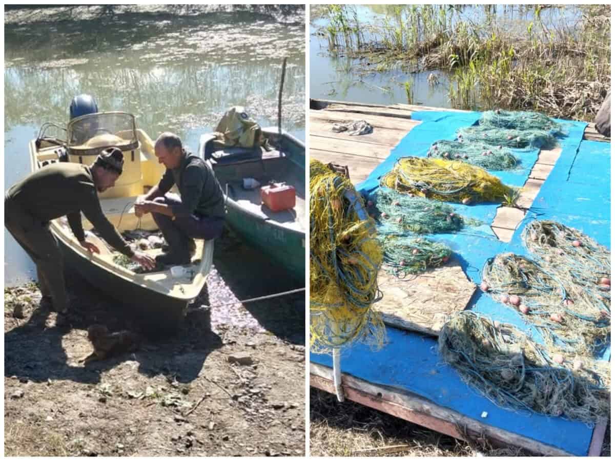 photo collage.png 6 1