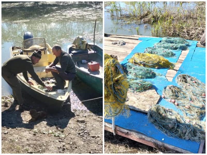 photo collage.png 6 1