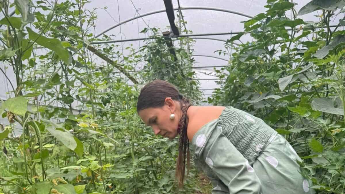 Senatul adoptă legea care simplifică autorizarea solarilor în grădini pentru agricultori