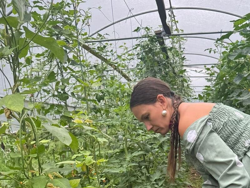 Senatul adoptă legea care simplifică autorizarea solarilor în grădini pentru agricultori