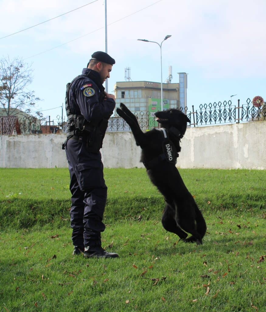 Danko si conductorul sau