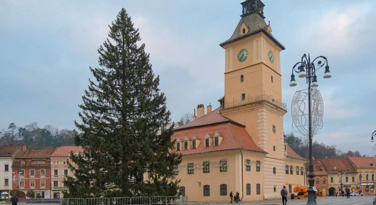 Brașov își sărbătorește Crăciunul cu un brad impresionant de 31 de metri din Poiana Brașov