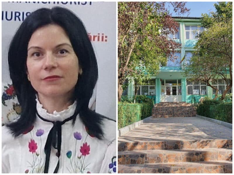 colaj danubius lupan